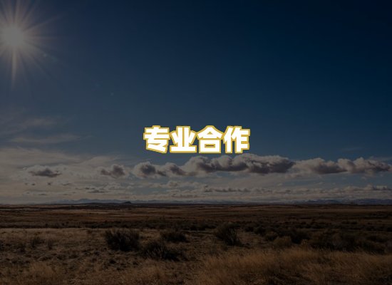 专业合作